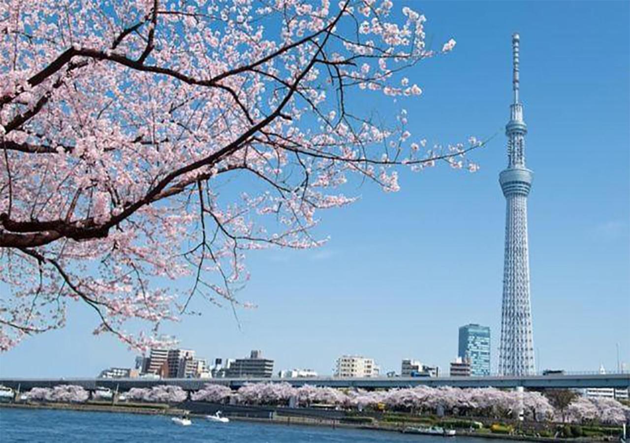 Zaito Skytree Economy Inn-yokokawaii 宅东东京晴空塔舒适旅馆-横川ii号店 Apartamento