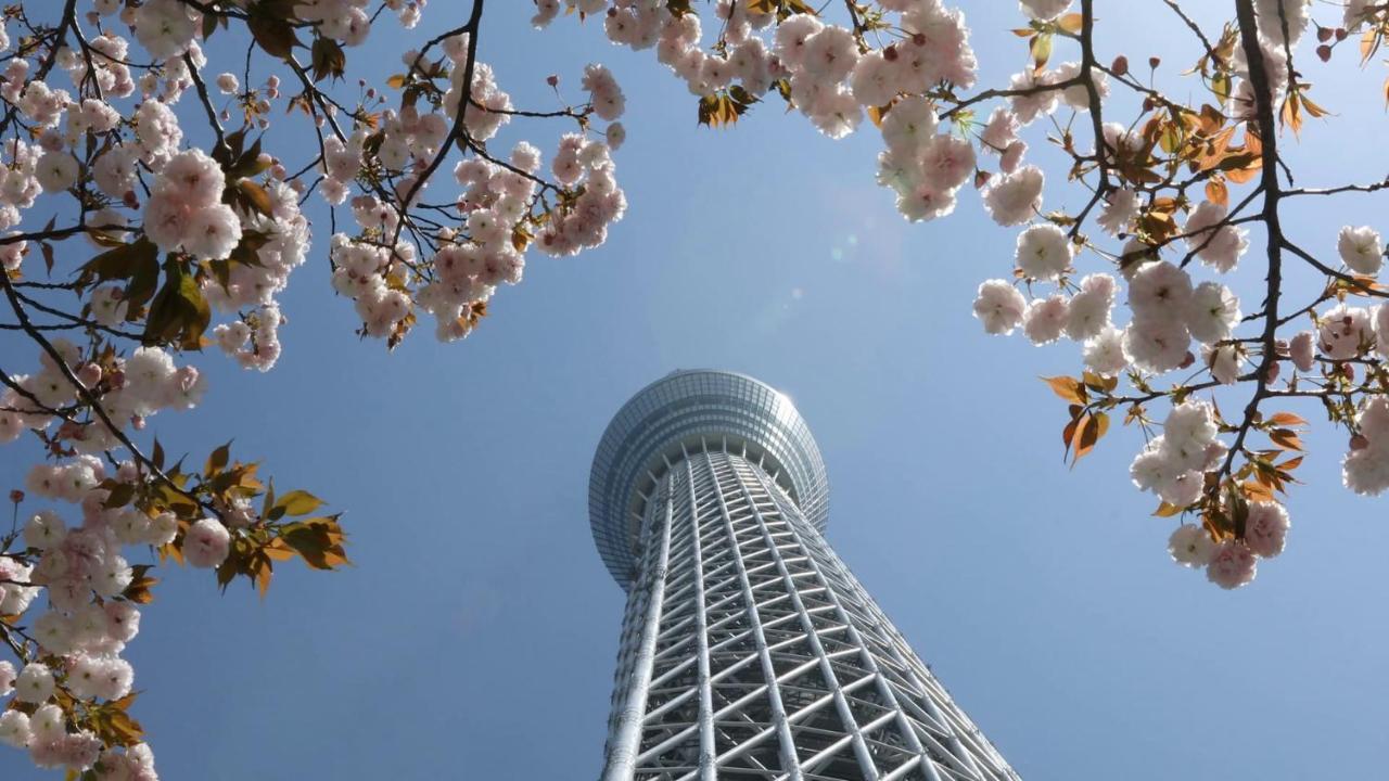 Appartement Zaito Skytree Economy Inn-yokokawaii 宅东东京晴空塔舒适旅馆-横川ii号店 *